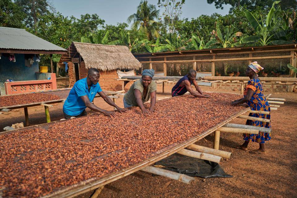 Prospering Farmers - Forever Chocolate