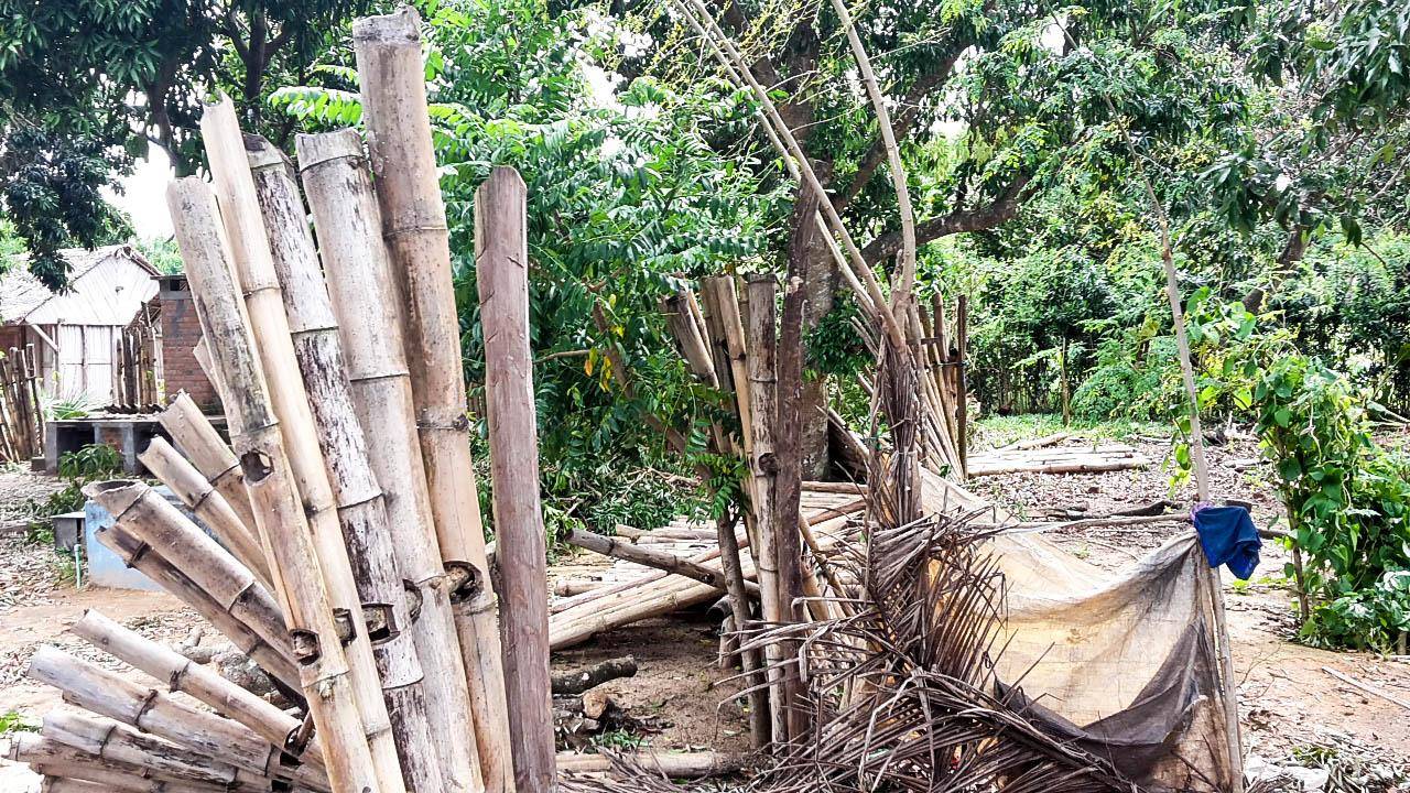 Madagascar after Cyclone Enawo