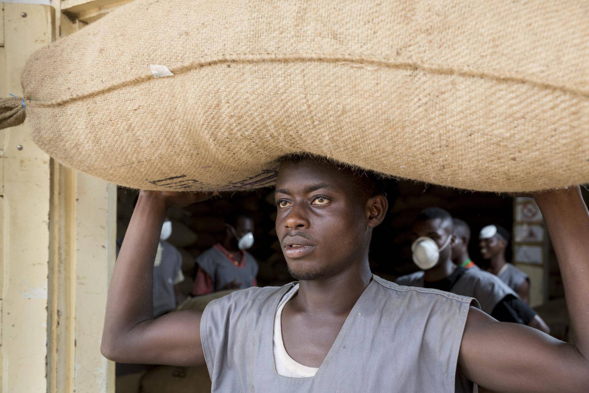 Cocoa Farmers in Côte d'Ivoire