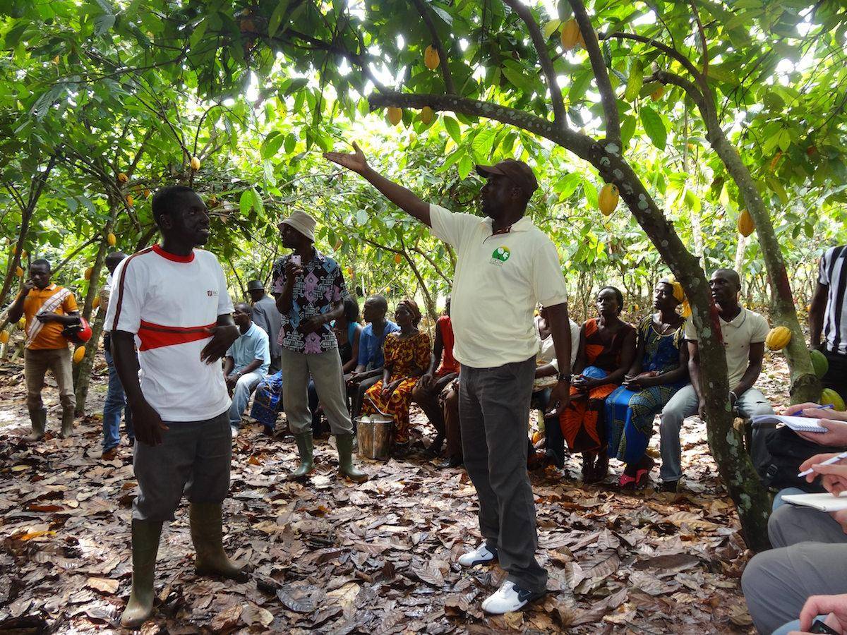 farmer field school