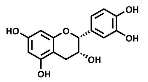 cocoa flavanols graphic