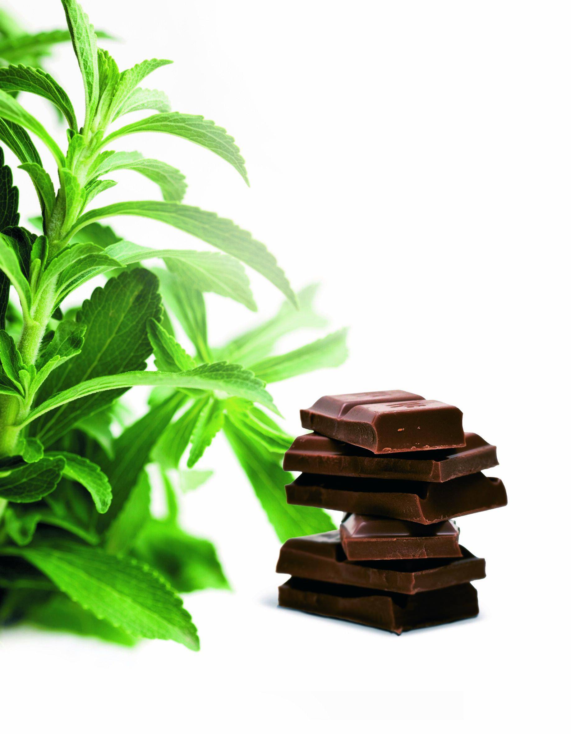 Stevia-based chocolate