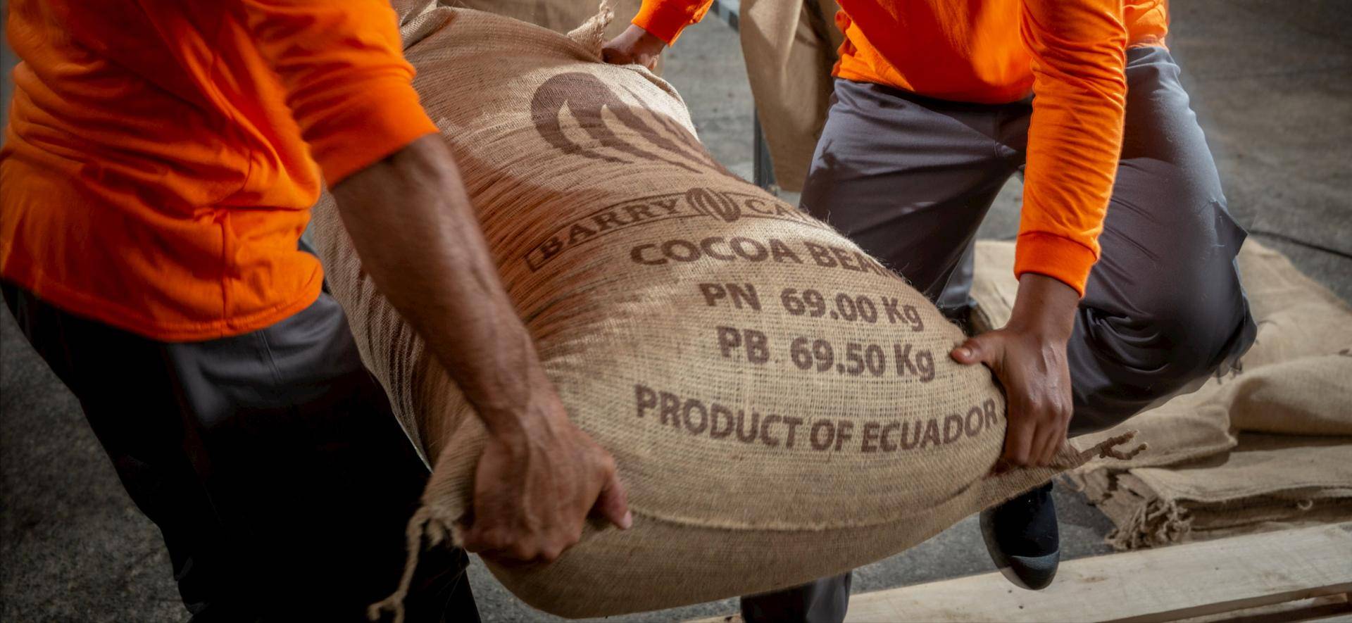 Ecuadorian cocoa farmers sustainability