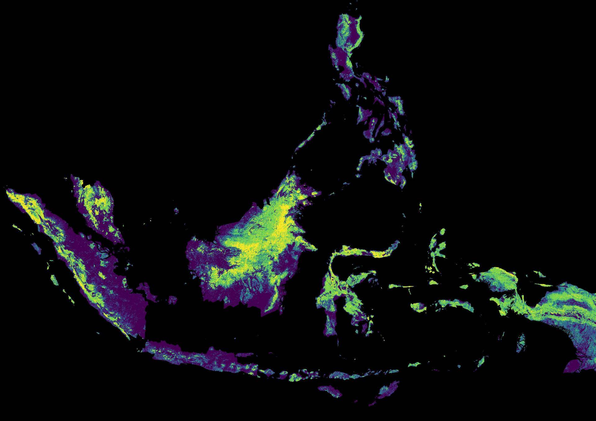 Artificial intelligence against deforestation