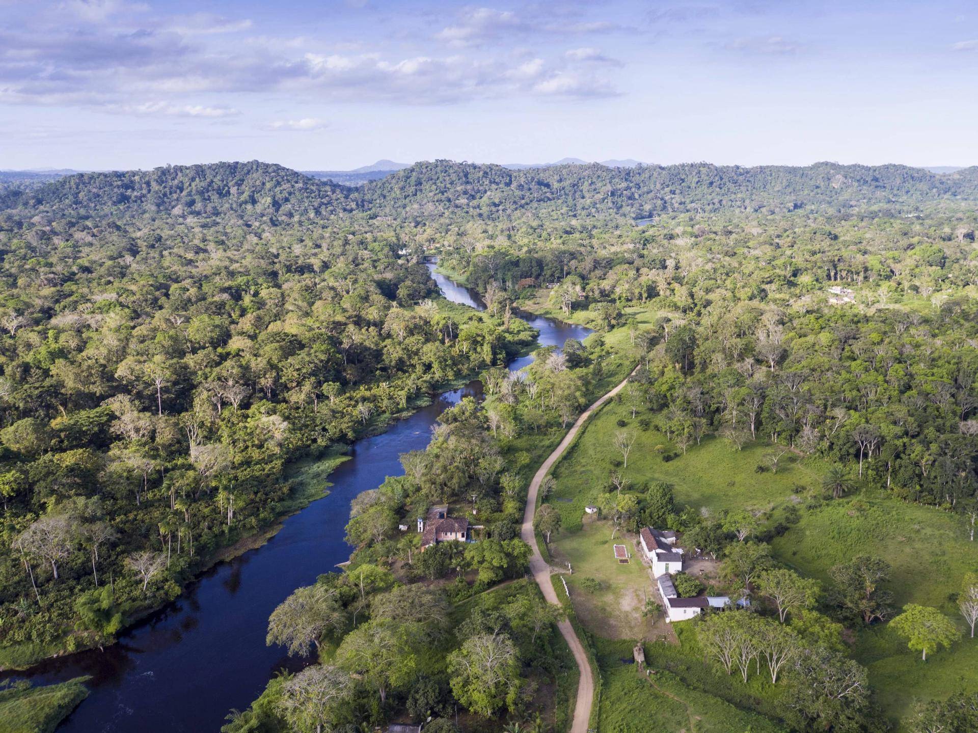 Barry Callebaut driving carbon emissions reductions