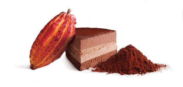 finest cocoa powders for indulgent desserts