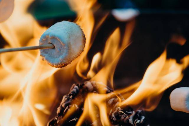 Barbecuing a marshmallow to make a s’more. Photo by Leon Contreras on Unsplash