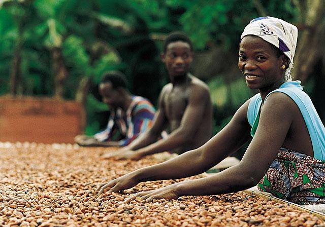 Cocoa farmers