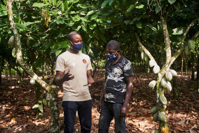 Forever Chocolate: Prospering Farmers