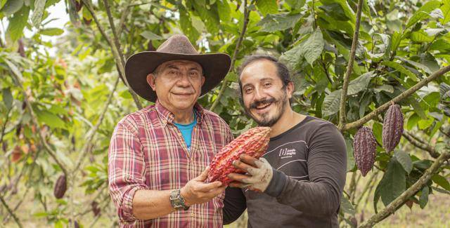 cacaofruit farmers