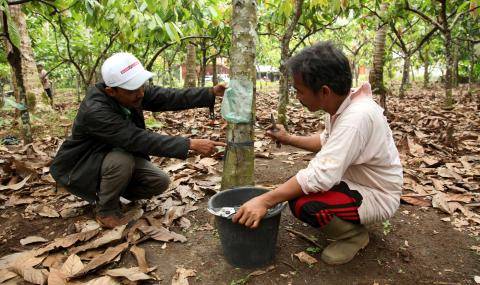 Thriving Nature our approach - Barry Callebaut