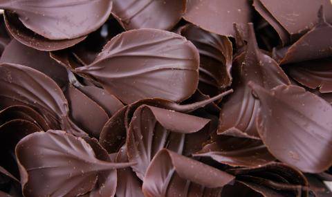 LEAVES DARK ECC Barry Callebaut