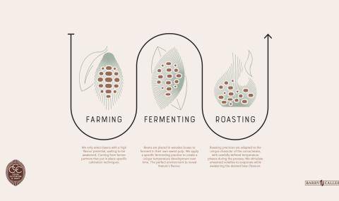 Cocoa Cultivation & Craft - Process
