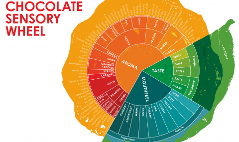 Chocolate sensory wheel - Barry Callebaut