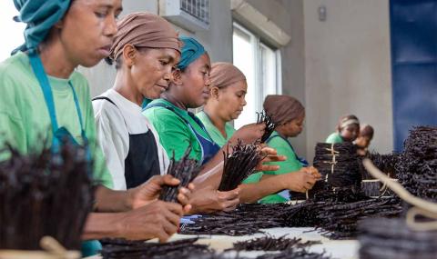 Women packing vanilla in Madagascar