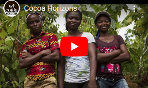 Cocoa Horizons videos