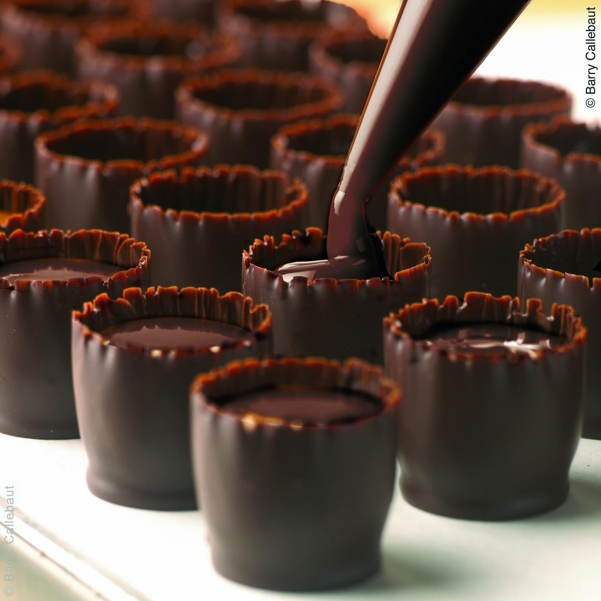 Barry Callebaut chocolate applications