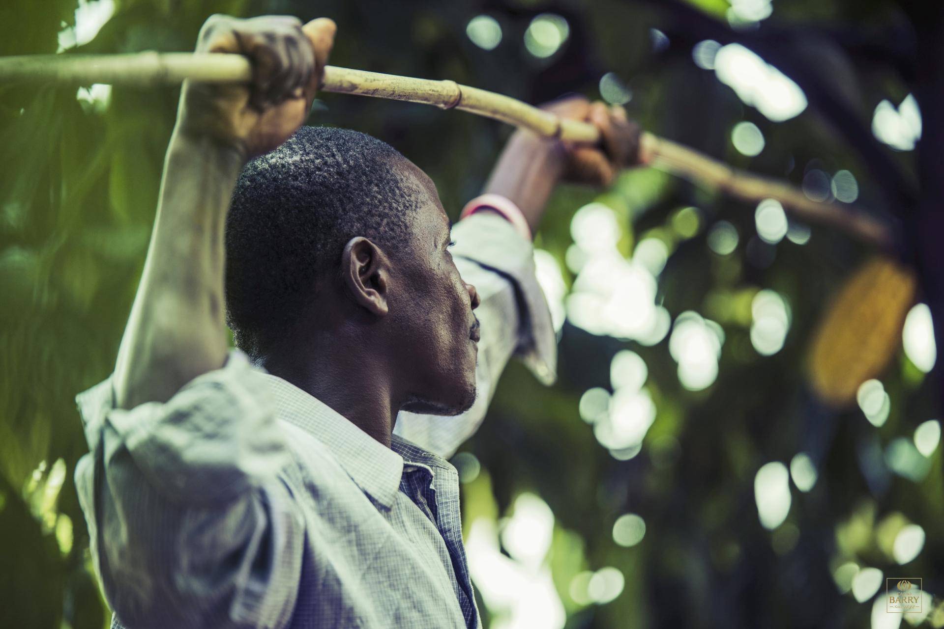 Transparency and traceability cocoa supply chain - Barry Callebaut