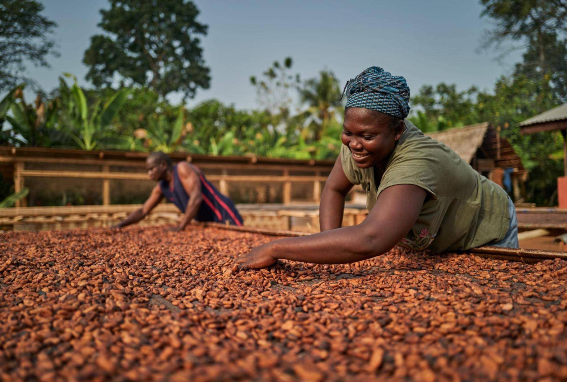 Barry Callebaut Group - Our commitment to sustainability