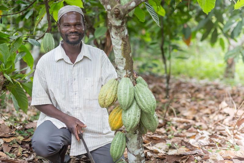 cocoa farmer in Côte d'Ivoire