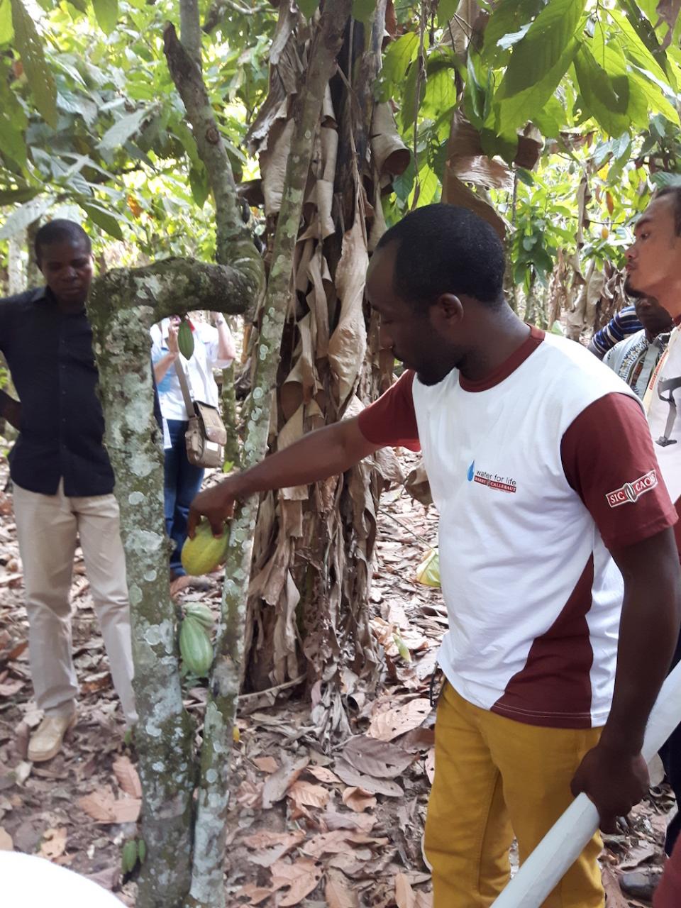 Barry Callebaut Water for Life champions during Cameroon cocoa study tour - visiting a cocoa farm in Penja