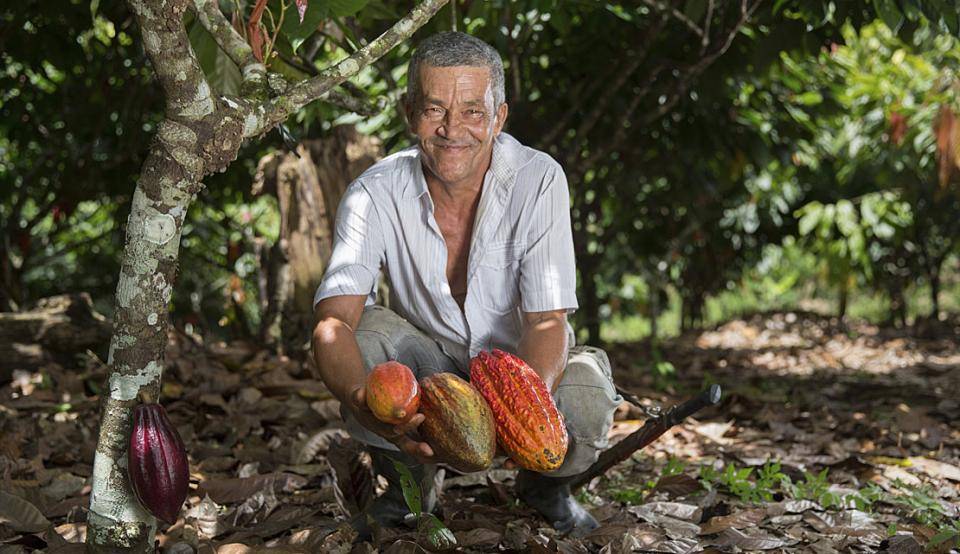 Cocoa Horizons Brazilian cocoa farmer
