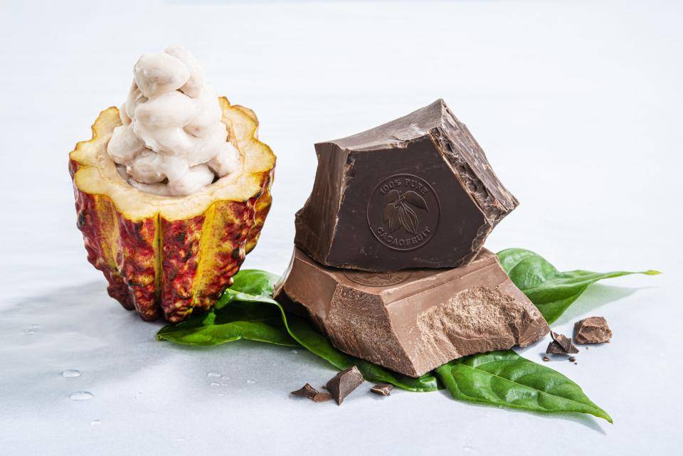 Barry Callebaut Cacaofruit Experience WholeFruit Chocolate Innovation 2019