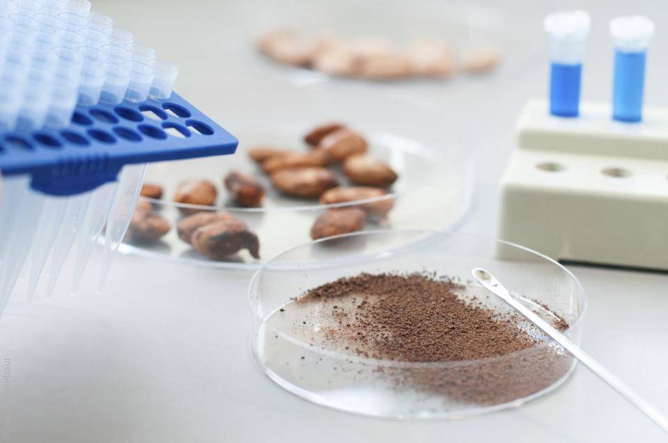 The cocoa bean is the most complex foodstuff on earth - COMETA aims to reveal all the hidden secrets.