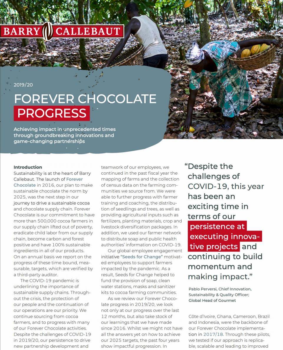 Forever Chocolate Progress Report 