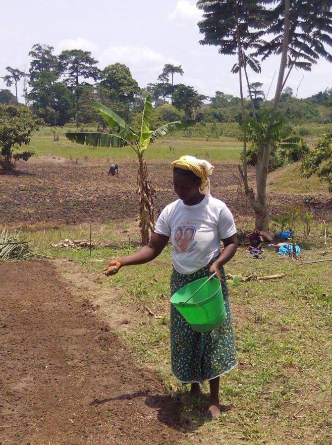 Farmers Seekewa Cote Ivoire
