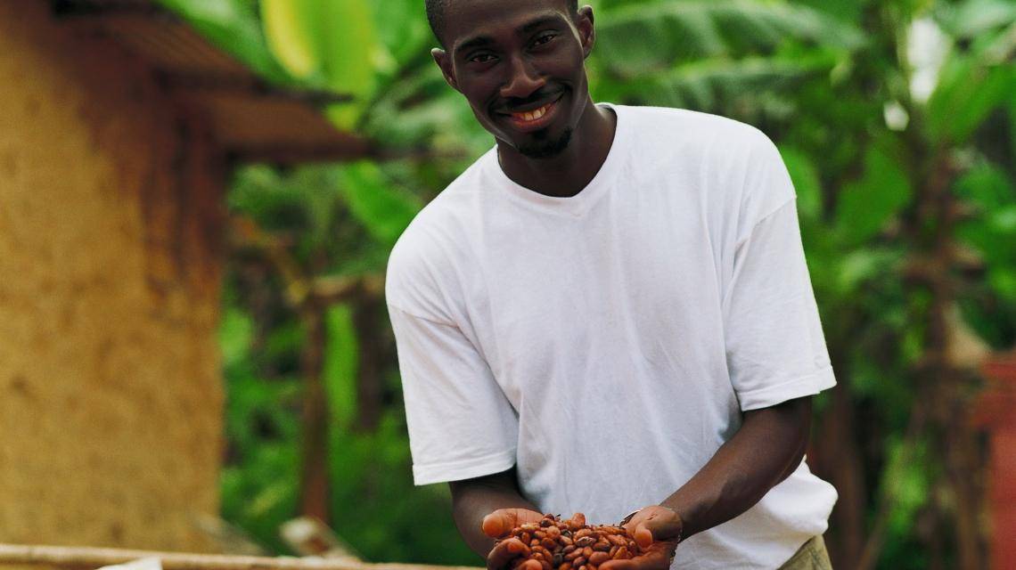 Farmer drying cocoa beans