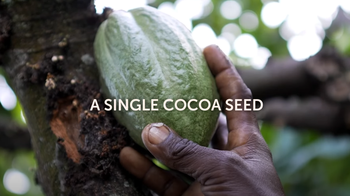 See how Cocoa Horizons is empowering farmers and building sustainable cocoa farming communities