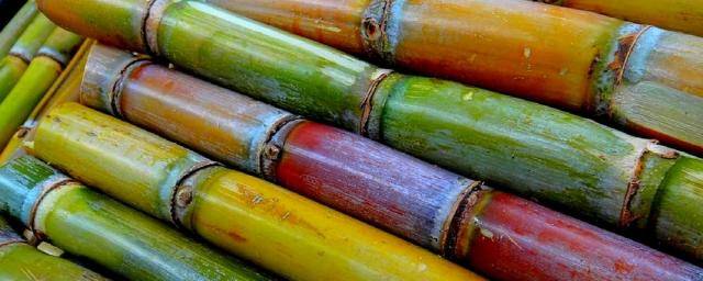 sustainable cane sugar