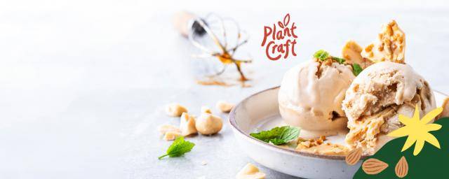 Plant Craft Ice cream - Vegan