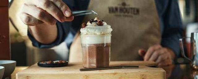 Van Houten - Cocoa and chocolate recipes for baristas and chefs